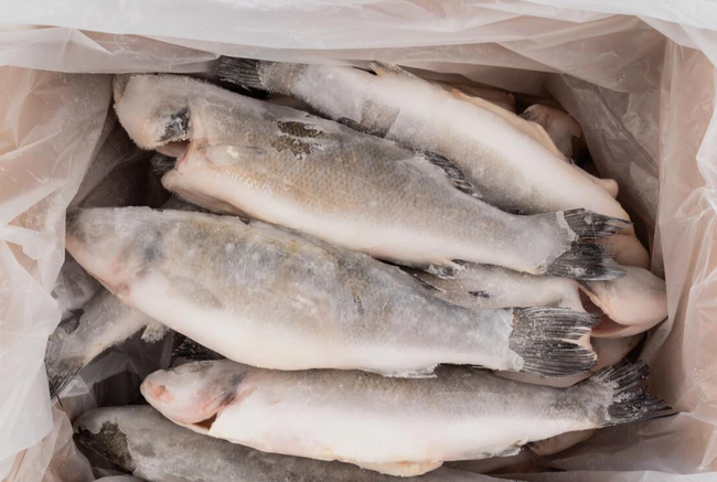 5 loại cá bẩn nhất chợ, chẳng những không ngon mà còn gây bệnh - Ảnh 1.