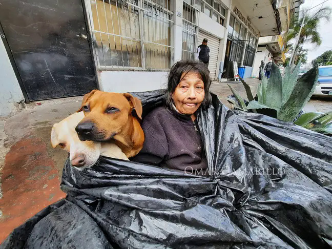 Bà cụ người Mexico sống trong túi rác cùng những chú chó - câu chuyện đang rất được mạng xã hội quan tâm.