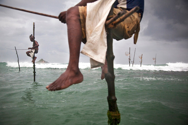  Cận cảnh nghề “đu cột câu cá” độc nhất vô nhị ở quốc gia 22 triệu dân vừa vỡ nợ - Ảnh 4.