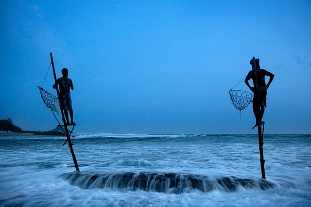  Cận cảnh nghề “đu cột câu cá” độc nhất vô nhị ở quốc gia 22 triệu dân vừa vỡ nợ - Ảnh 5.