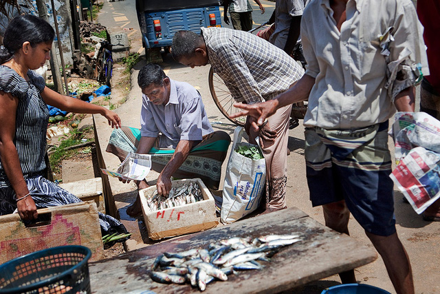 Cận cảnh nghề “đu cột câu cá” độc nhất vô nhị ở quốc gia 22 triệu dân vừa vỡ nợ - Ảnh 6.