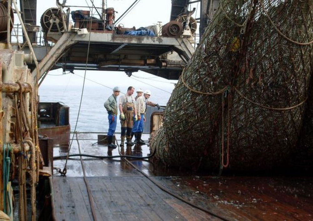 Kéo được mẻ lưới nặng bất thường, sinh vật khổng lồ bên trong khiến ngư dân ngỡ ngàng - Ảnh 2.